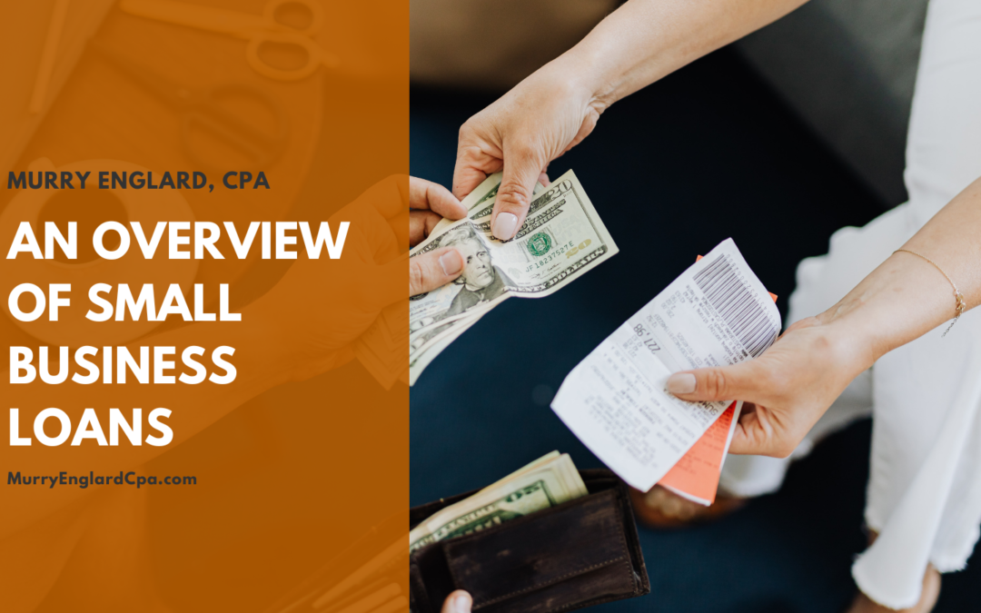 An Overview of Small Business Loans